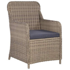 vidaXL 2X Gartensessel Poly Rattan Gartenstuhl Sessel Stuhl Stühle Gartenmöbel