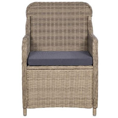 vidaXL 2X Gartensessel Poly Rattan Gartenstuhl Sessel Stuhl Stühle Gartenmöbel